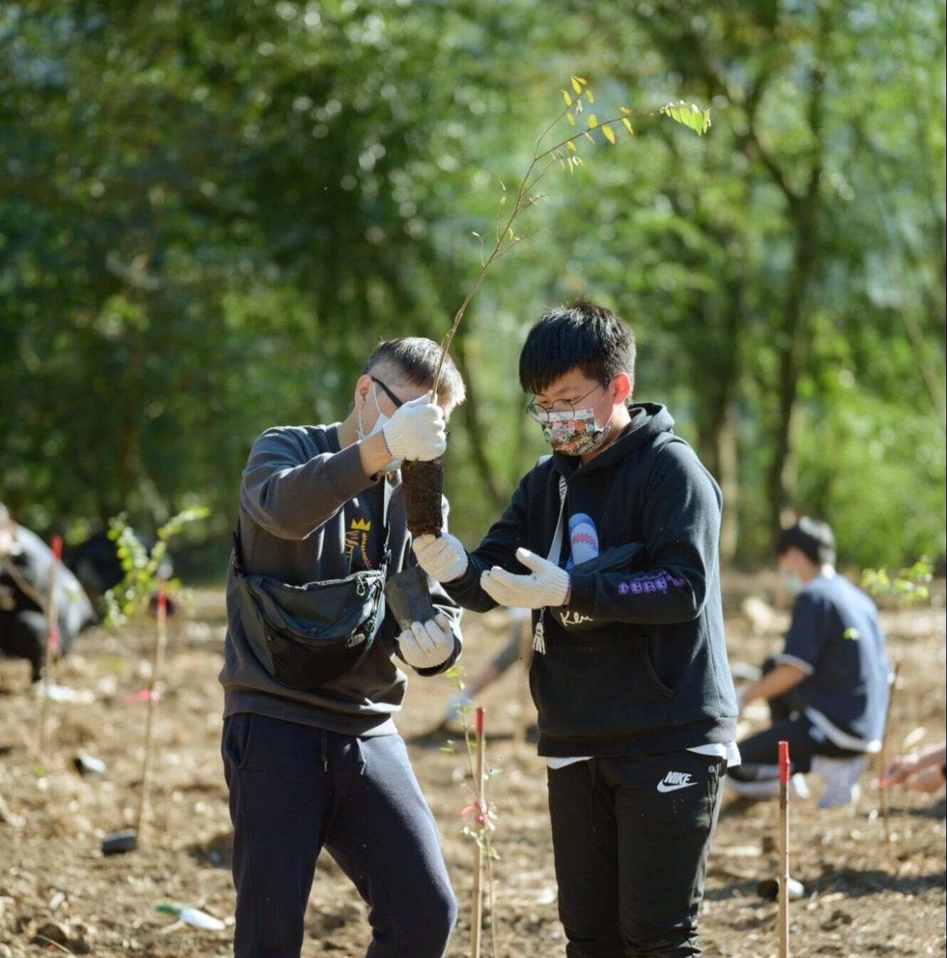企業種樹活動-裕利醫藥種下樹苗,展現永續社會影響力