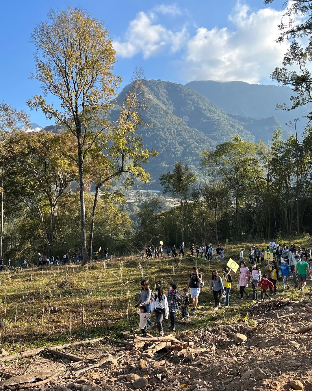 The walk uphill: dozens of participants winding along a hillside trail toward the planting ground, a golden tree and mountains above them